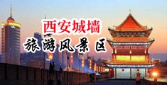 爽爽爽污网站中国陕西-西安城墙旅游风景区